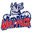 Hartford Wolf Pack