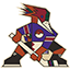Tucson Roadrunners